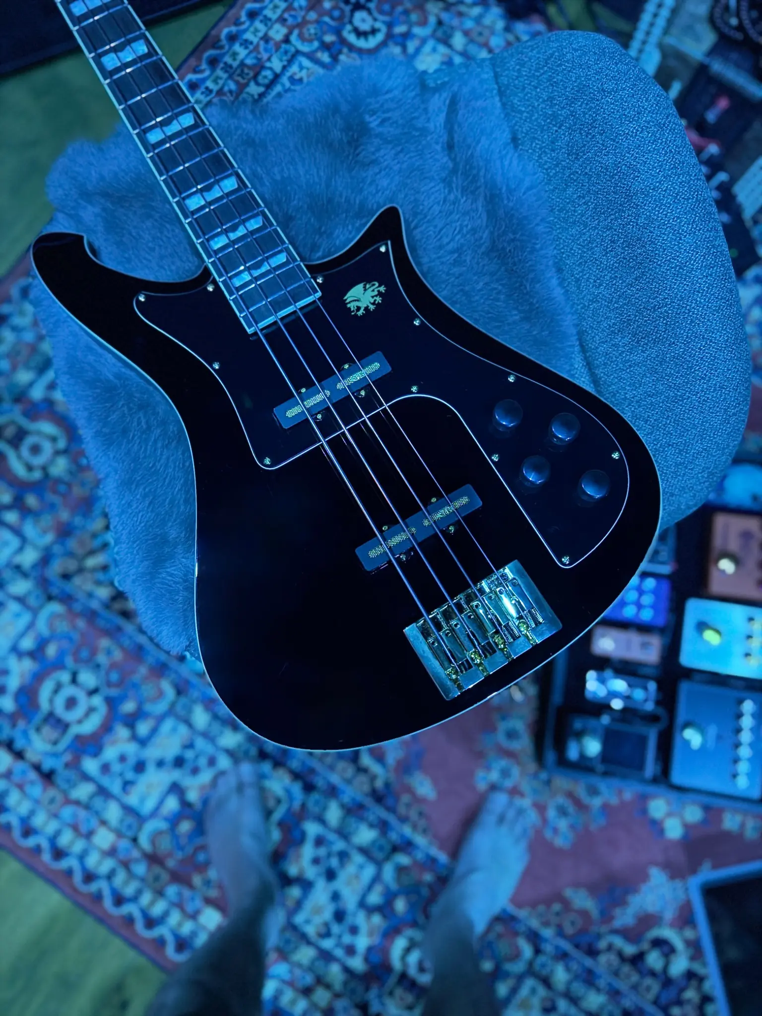 The black Baum Nidhogg bass that started Gruuvik Chamber
