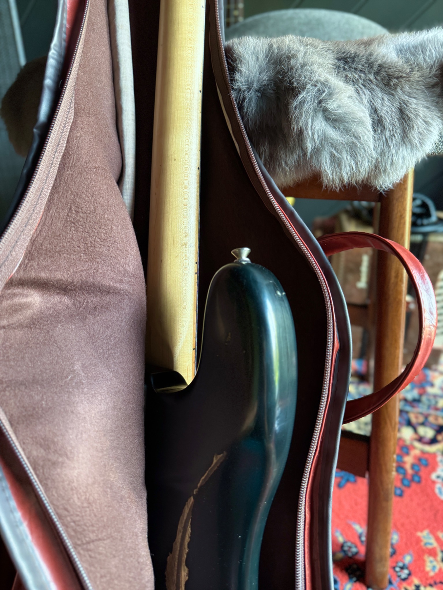 Fresher FP-360 in its gig bag