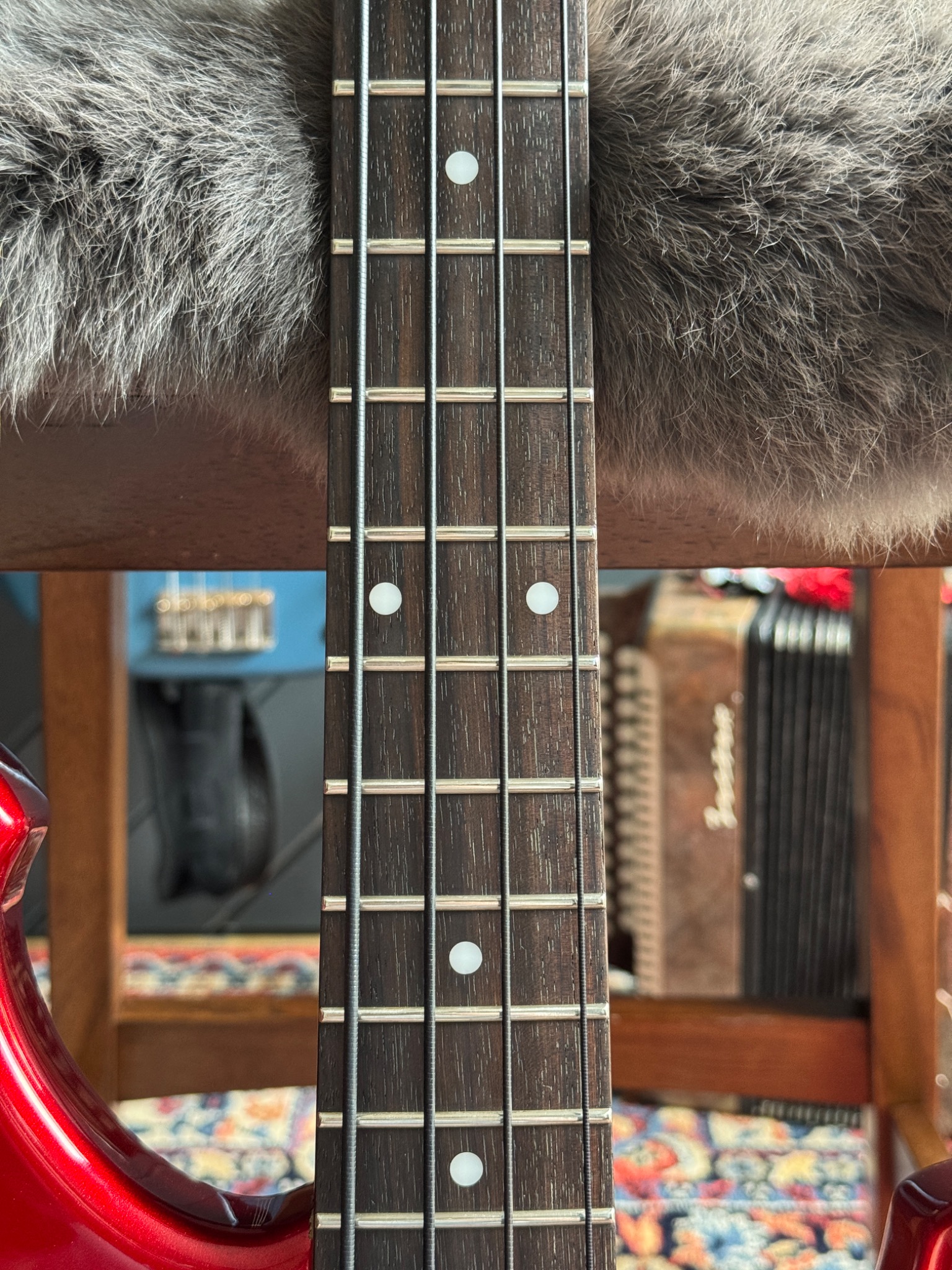 Close view along the fingerboard and frets